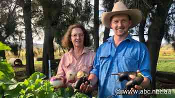 Farmers prepare to battle mining giant Santos  in wake of approval to re-activate four coal seam gas wells in NSW