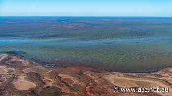 Santos confirms gas pipeline explosion in SA, as anger erupts over gas projects at company AGM