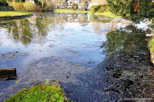 Smurrie op parkvijver is “mogelijk gevolg van rampoefening”