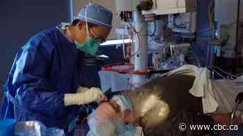 Centralized surgery queues cut patient wait times but surgeons slow to get on board, doctors say