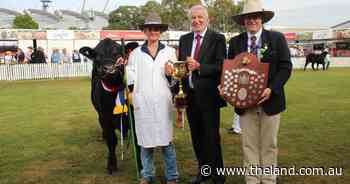 St Johns College wins champion school steer competition