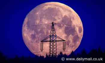 When is the next full moon 2023? Dates for every full Moon revealed - including a supermoon