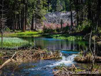 Aprimo Announces Integration With ChatGPT