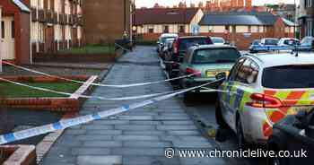 Man to stand trial accused of murdering 'loving' grandad in Cullercoats