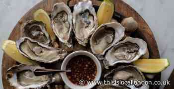 Marylebone Food Festival: Discover A Luxurious Foodie World