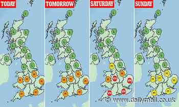 Met Office now warns pollen levels will be VERY high this weekend