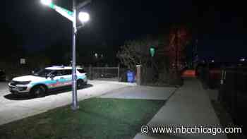 Fisherman Seriously Hurt After Being Shot in Chicago's Albany Park Neighborhood