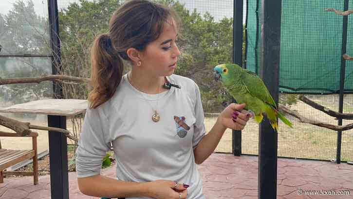 How a Texas sanctuary uses social media to highlight animal conservation needs