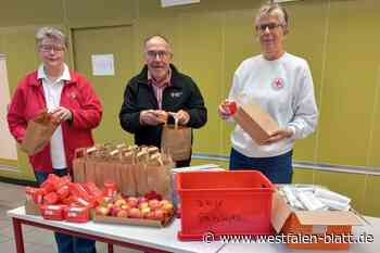DRK Salzkotten verteilt letzte Lunchtüten