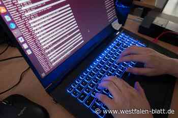 Schlag gegen Cyberkriminalität: Durchsuchung auch in Beverungen