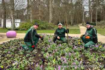 Buntes Blumenmeer auf der Gartenschau Bad Lippspringe