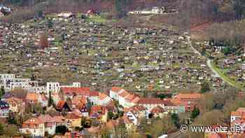 Jenas Kleingärten sind nach Ansicht der Stadtspitze nicht sakrosankt