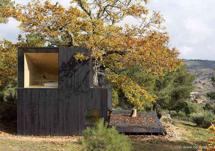 Unter alten Ästen
 - Wochenendhaus in Nordportugal von João Mendes Ribeiro