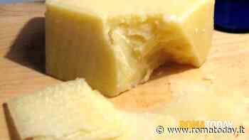 Anche la Regione si schiera coi produttori laziali di cacio romano