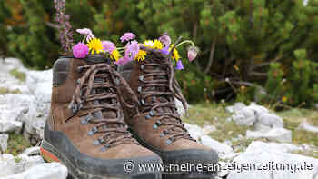 Jetzt im Sale – Damen-Wanderschuhe von Stiftung Warentest