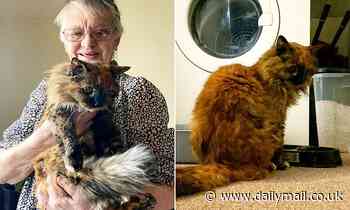 Cat who is about to celebrate her 32nd birthday may be the oldest in the world