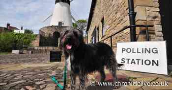 All of the candidates standing for election on Sunderland City Council on May 4