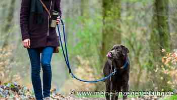 Nationalparkverwaltungen erinnern an Leinenpflicht