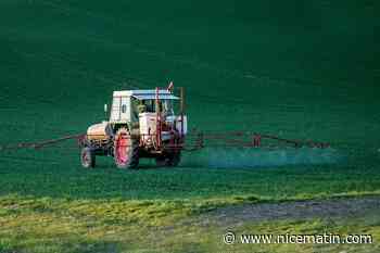 Eau potable contaminée: ce que vous devez savoir sur le chlorothalonil