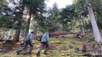 Jogger (26) stirbt auf Waldweg in Südtirol – Verdacht auf Bären-Angriff