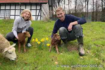 Zeit der Osterlämmer: Junge Menschen in Werther und ihre Leidenschaft für Landwirtschaft