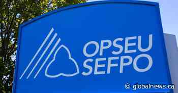 Former OPSEU VP countersues union, denies breaching any fiduciary duty