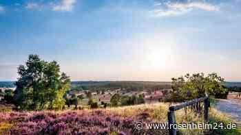 Lüneburger Heide mit Tourismusrekord
