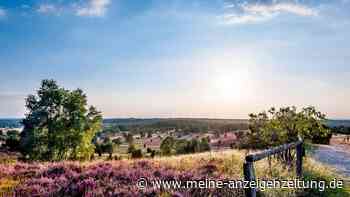 Lüneburger Heide mit Tourismusrekord
