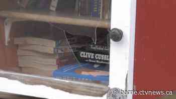 Mini community library targeted by vandals for 3rd time