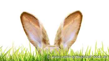 Wir haben nachgefragt: Wie feiern die Calwer Ostern?