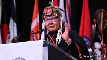 Assembly of First Nations wants federal UNDRIP plan delayed, slams consultation process