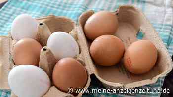 Welche Eier sind die besten? Die Herkunft ist entscheidend