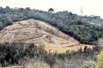 Les passants s’interrogent depuis des semaines, l’énigme de la colline défrichée sur les hauteurs de Nice est éclaircie