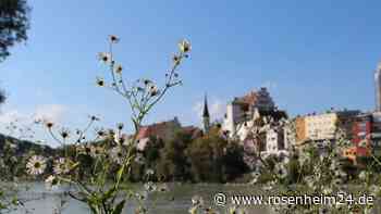 Offene Themenführung „Wild- und Heilkräuter in der Stadt“ in Wasserburg