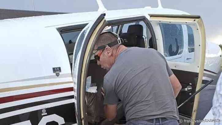 Snake on a plane! South African pilot finds cobra under seat