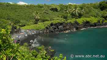 Hawaii considers visitor charge to combat environmental cost of tourism