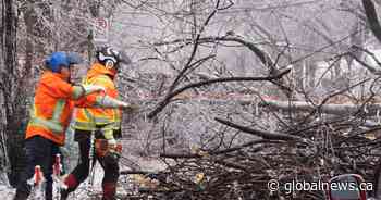 Westmount power grid stands strong against powerful ice storm