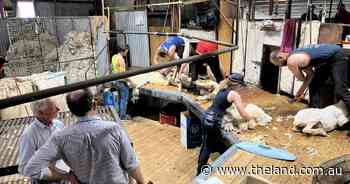 Bookham wether trial begins again