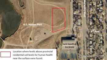 Contaminated soil discovered in A.E. Wilson Park in Regina