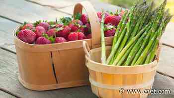 12 Healthy Recipes to Try Using Your Fresh Spring Produce     - CNET
