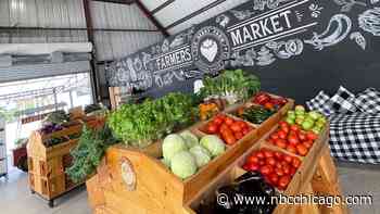 A Guide to Farmer's Markets in Chicago For 2023