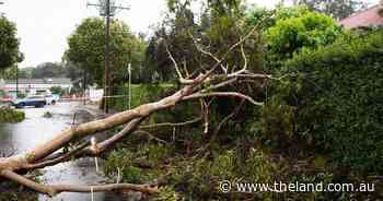 Severe storms, cold temperatures predicted for Easter break