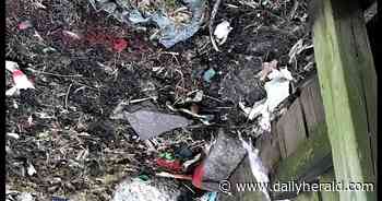 Naperville poised to provide up to $500,000 for tornado yard damage