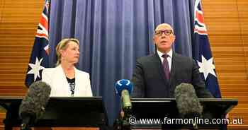 Liberals split denied after partyroom voice call