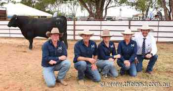 Wrigley's $42,000 debut