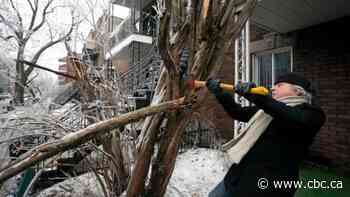 Quebec ice storm knock out your power? Here's how to get help