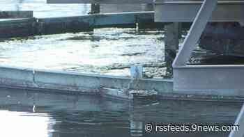 Wastewater testing pilot to monitor COVID