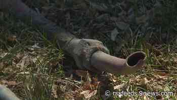 A clearer look at lead pipes in Colorado, and efforts to fix them