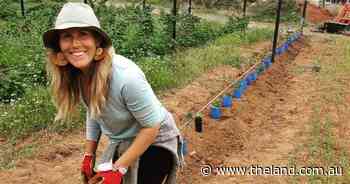 Battle to create a society of conscious eaters