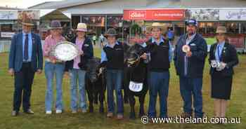 Victorian Lowline breeder lands best exhibit in the 'Cann'